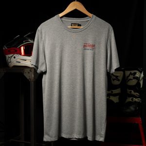 Remera SKELETOR gris