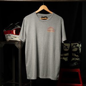Remera TOYS gris
